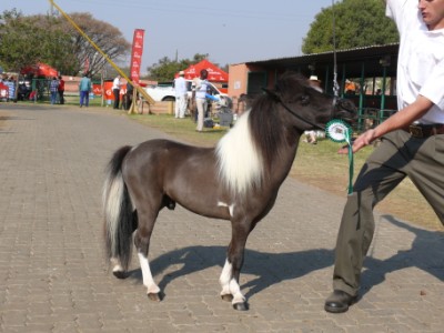 Silverado in Senior Class